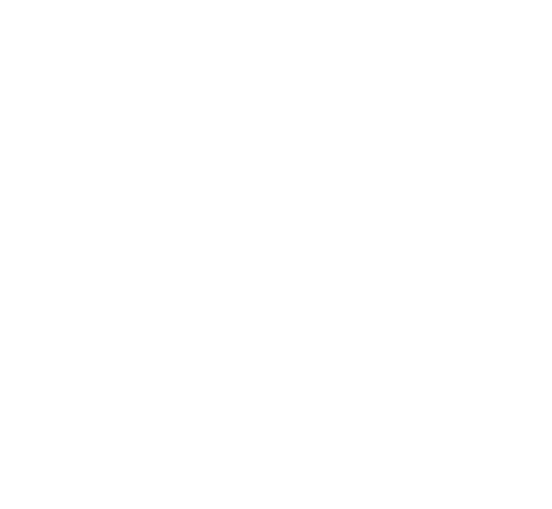 Babut Law Offices PLLC | established 1991