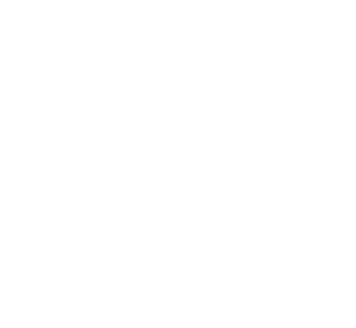 Babut Law Offices PLLC | Established 1991